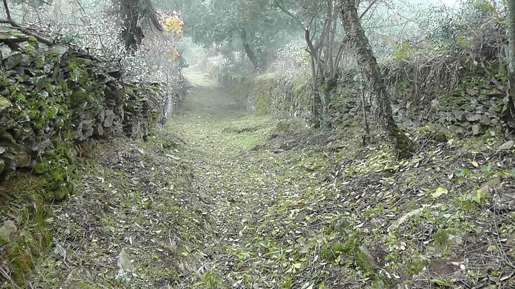 בית הארחה Casas de Miravete 	Los Montes מראה חיצוני תמונה