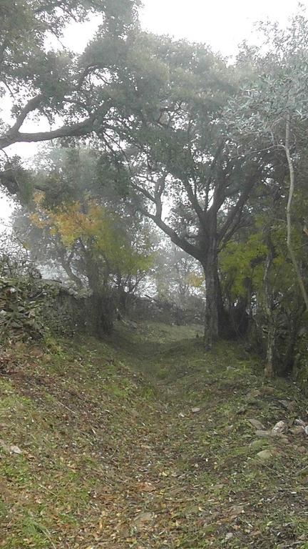 בית הארחה Casas de Miravete 	Los Montes מראה חיצוני תמונה